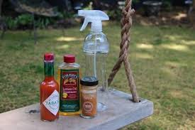 To get rid of the squirrels permanently, follow the few steps: How To Get Squirrels Out Of Your Yard Get Rid Of Squirrels Squirrel Proof Bird Feeders Squirrel Repellant