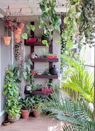 A Balcony Garden In Mumbai Terrace Reveal One Brick At A Time Patio Wall Decor Small Balcony Garden Balcony Garden