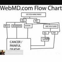 Webmd Com Flow Chart Do You Have Pain Yes Mild Moderate