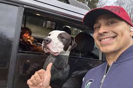 Grubhub Driver Adopts Dog from Shelter He Delivered Food to