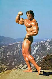 Последние твиты от arnold (@schwarzenegger). Pin By Lwolff On Arnold Schwarzenegger Arnold Schwarzenegger Bodybuilding Schwarzenegger Bodybuilding Arnold Schwarzenegger Body