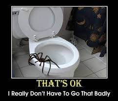Miscellaneous Spider 6 Demotivational Posters Funny Pictures Scary