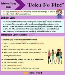 Boku No Pico Meaning: What does this Interesting Slang Term Mean? • 7ESL |  Slang phrases, Meant to be, Boku no pico