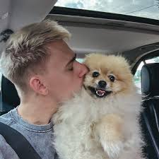 И вот только скажите, что питомцы не...