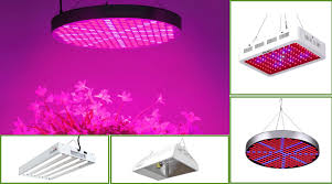 T5 ho grow light fixture; Best Grow Light 2020 Reviews