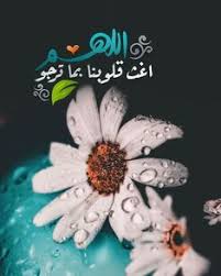 كل ما أحب floral flowers floral rings