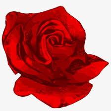 Rose flower stock photos and images. Red Flower Clipart 2 Rose Red Rose Pdf Transparent Png 2314x2205 Free Download On Nicepng