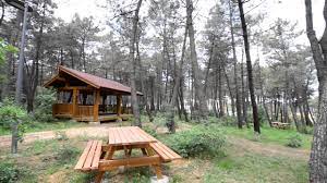 We did not find results for: Sancaktepe Orman Parki Ve Mesire Alani Youtube