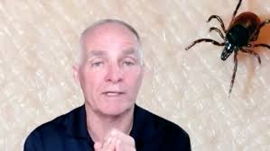 A 'tick explosion' could happen soon in DMV, here's how to keep you and  your family safe