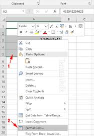 Angka kembar ini memiliki makna yang kuat bagi yang melihatnya. Cara Menampilkan Angka 12 Digit Atau Lebih Di Microsoft Excel