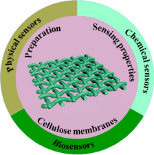 Photodetectors can dictate the performance of a fiber optic communication link. Recent Advances In Cellulose Based Membranes For Their Sensing Applications Springerlink