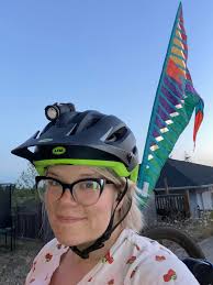 The bicycle flag set is 10.00. The other ones are 3.00 each. Smoke free  home, porch pick up in Forest City area