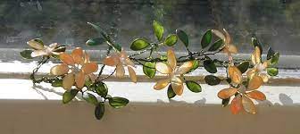 All in one nail colour with argan oil 11ml. How To Make Wire And Nail Polish Flowers Diy Alldaychic