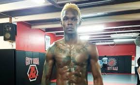 Follow me from a distance! All The Anime References From Middleweight Champion Israel Adesanya Ahead Of Ufc 253 Sportsmanor