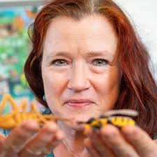 Stadt Stimmen Storys