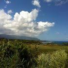 The Smile Song Is A Preschool Song To Teach Kids About Smiling And Feelings Preschool Preschool Son Emotions Preschool Kindergarten Songs Feelings Preschool