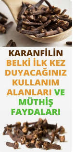 Karanfilin Faydalari Ve Zararlari Nelerdir Cilt Bakimi Yemek Pisirme Ipuclari Dogal Saglik Saglikli Yasam Tarzi