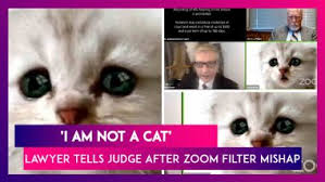 A texas lawyer has gone viral after mistakenly using a cat filter during a virtual zoom court hearing. I Am Not A Cat Us Lawyer Tells Judge After A Zoom Filter Mishap During Online Court Session Watch Videos From Latestly