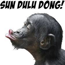  Pin Oleh Cak Kocem Santrine Bu Nyai Di Yang Saya Simpan Lol Lucu Meme