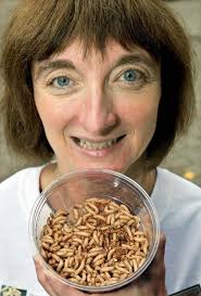 Guest blog: Have you considered insect bioconversion?