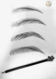 Pin On Eyebrows Permanent Make Up By Ana Maria Margineanu Master Trainer