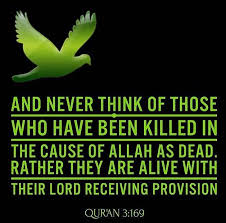 Martyr2 The Prophet Pbuh Explained This Verse The Souls Of Martyrs Are Alive In The Bodies Of Green Birds Who Have Th This Or That Questions Martyrs Lord