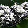 200 gram kelapa yang sudah di parut yang tidak terlalu tua atau muda. Https Encrypted Tbn0 Gstatic Com Images Q Tbn And9gcts4soo Aq43n3yehechr4m83p2f2bkeyencvqxza4 Usqp Cau