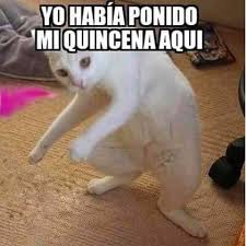 Aiuda Memes Divertidos Meme Gracioso Meme Divertido