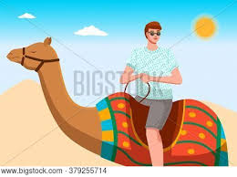 The young men and i are in dubai before getting our voyage ship to australia and we're doing our best to experience what this astounding city offers vacationers. Male Tourist Rides Vector Photo Free Trial Bigstock