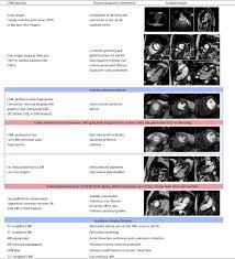 While many of the best practices in implementing scf. Cardiovascular Magnetic Resonance For The Assessment Of Coronary Artery Disease International Journal Of Cardiology