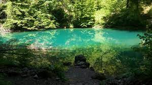 S primorja i unutrašnjosti, te s dinarida i alpa, pa je na. Risnjak National Park Picture Of Risnjak National Park Primorje Gorski Kotar County Tripadvisor