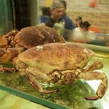 Fishing may be considered haram if it is done for merely sport or play and the fish is not used for food or selling. Haaa Ketam Gemuk Jenis Ni Nama Ibrahim S Fatty Crab Facebook
