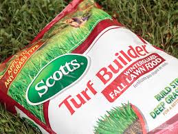 Check spelling or type a new query. Best Time To Seed A Lawn Is Probably Not When You Think