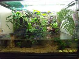 Just To Share My Paludarium Marine Tank Rainforest Aquarium