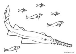 Goblin shark coloring pages goblin shark drawing at getdrawings free. Free Printable Shark Coloring Pages For Kids