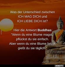 Ein verwundetes herz kann immer noch lieben. 140 Lustige Bilder Von Ich Liebe Dich Lustig Neue Debeste