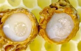 Ari Sutunun Faydalari Nelerdir Https Www Besiciftligi Com 2019 01 Ari Sutunun Faydalari Nelerdir Html Gida Ari Sutu Beslenme