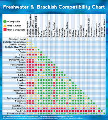 freshwater brackish fish compatibility chart