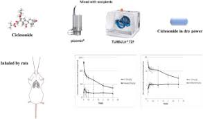 Image result for Inhaled Ciclesonide
