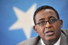 Somalia's Premier Appoints New Ministers of Industry, Energy