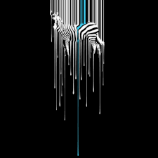 zebra melting background ipad