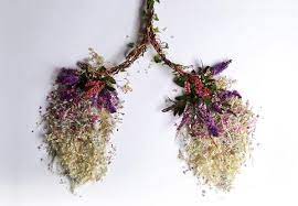 Maybe you would like to learn more about one of these? Colossal Di Twitter Eye Heart Spleen Human Organs Made From Flowers And Plants By Camila Carlow Http T Co Ydbw27lxuv Http T Co Lm0ef1vovu