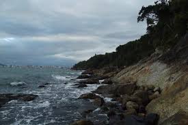 If you look closely you might get to see chameleons and various bird species. Praia Do Cabeco Itapema Atualizado 2021 O Que Saber Antes De Ir Sobre O Que As Pessoas Estao Falando Tripadvisor