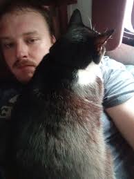 The Foundation For Homeless Cats