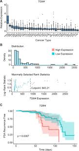 TGM4: an immunogenic prostate-restricted antigen