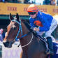 Race Day Nine – Broome Cup event image