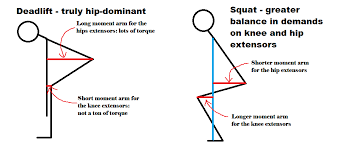 What The Deadlift Is And Is Not Deadlift Squats Deadlift Grip