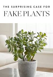 11 Faux Plants You D Never Know Were Fake Jade Plants Artificial Plants Indoor Artificial Plant Arrangements
