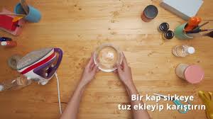 Evdeki Kedi Kopek Kokusu Nasil Giderilir Evcil Hayvan Kokusu Giderme Temizsozluk Youtube