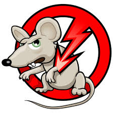 8817 glen canyon dr | 78681 round rock. Ocp Bed Bug Exterminator Walburg Tx Bed Bug Removal